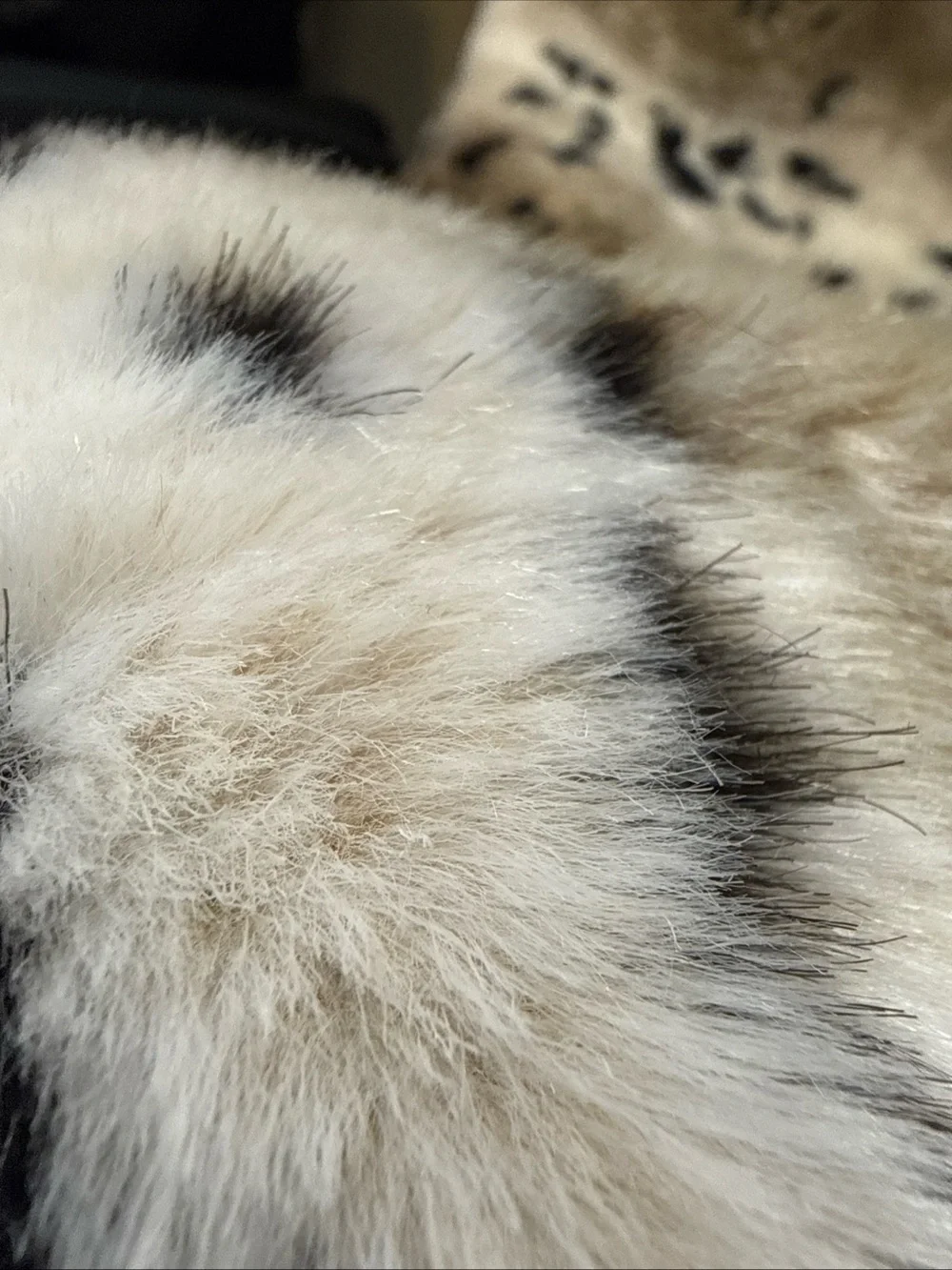 Pluto’Snow Lynx Fur Luxury Throw Animal Print Des